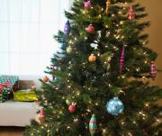 Советы звезд к новогодним праздникам