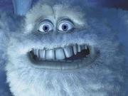 В Ингушетии пограничники поймали снежного человека