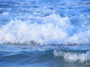 Голландцы установили рекорд в первый день Нового года