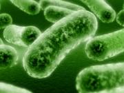 Эксперты предупреждают любителей джакузи об опасности