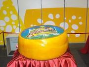 Онищенко внезапно стал недоволен украинским сыром