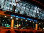 Международный аэропорт Каира атаковали крысы