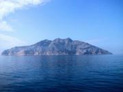 Крысы захватили остров Монтекристо