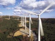 Компания «Татнефть» будет использовать в своей работе природную стихию