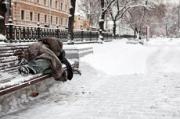Бездомных приютят социальные службы