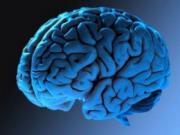 Открыто новое свойство кофе