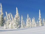 Олимпийскую трассу ждет профессиональная проверка