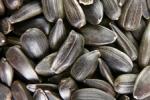Семечки – залог здоровья?