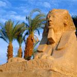 Египет просит сектор Газа помочь найти 1500 угнанных автомобилей