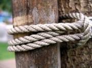 Житель Буденновского района привязал троих мальчишек к дереву и уехал