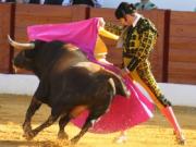 Стартует фестиваль испанского кино