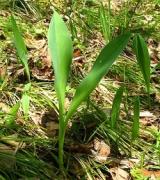 В Шпаковском районе задержаны браконьеры
