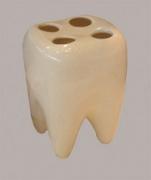 Форум «Стоматология Ставрополья» в Прогрессе