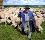 В районах Старополья создают специальные комиссии