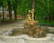 Специалисты «Горзеленстроя» состояние деревьев на бульваре Ермолова