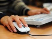 Популярность работы в сети растет