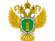 Генеральная прокуратура взялась за проверку «Роснефти»