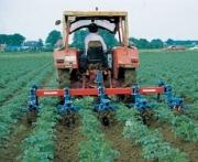 Принятые правительством края решения по повышению ставок аренды за земельные участки противоречат постановлению Правительства РФ