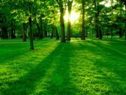 В Днепропетровске отремонтируют Молодежный парк