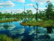 Эстония предлагает лучший летний отдых