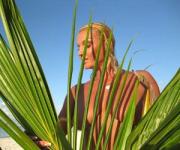 Большая грудь Анастасии Волочковой оказалась липой