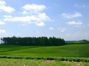 Стоимость земли под Киевом снизилась