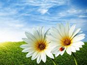 Гринпис приучает супермаркеты к порядку