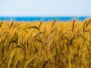 Польские инвесторы вложат 100 миллионов  евро в строительство складов