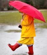 В ближайшие сутки в крае сохранится дождливая погода