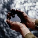 Белоруссия больше не будет покупать венесуэльскую нефть