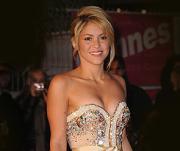 Шакира скоро станет матерью