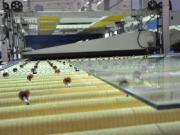 На Дальнем Востоке открывается первый завод по производству окон