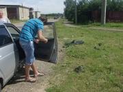 Сотрудники ГИБДД помогли автолюбителям избавиться от тонировки