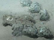 Со дна Атлантики подняли 48 тонн серебра