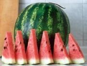 Ставропольцы смогут обменять мешок амброзии на арбуз