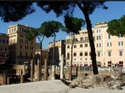 Испанский археолог нашел точное место убийства Цезаря