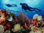 Подводная экскурсия в Венесуэле привлекает туристов