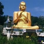 В Шри-Ланки арестовали пятерых россиян