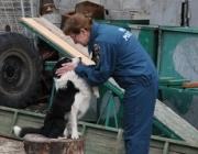 Лучший кинолог СКФО МЧС России работает на Ставрополье