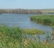 Ставропольскую реку сделают безопаснее