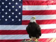 Онлайн-школа How-to-learn-english «обманывает» учеников