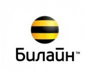 «Билайн» предлагает «Интернет для всех»