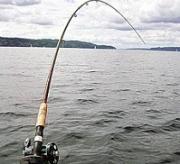 В Пятигорске рыбак на удочку поймал пакет с боеприпасами