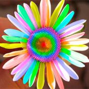 Выставка творческих работ детей с ограниченными возможностями в Уфе