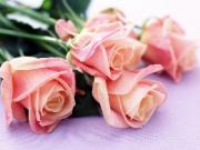 Какой подарок выбрать на 8 марта