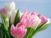 Подарок на 8 марта. Особенности выбора