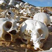 Рабочие Crossrail обнаружили массовое захоронение