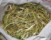 Полиция выявила в крае незаконный перевоз крупной партии растения, занесенного в Красную книгу