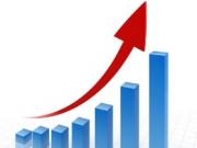 Как организовать продвижение сайта