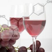 Учёные нашли в организме человека энзим, отвечающий за долголетие